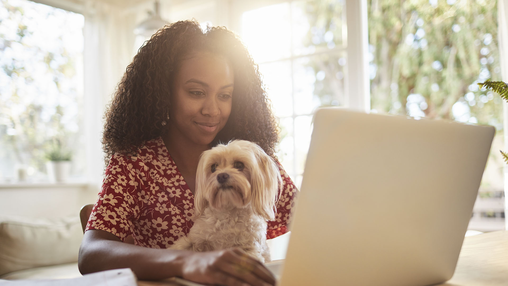 person sitting in front of laptop with dog in lap